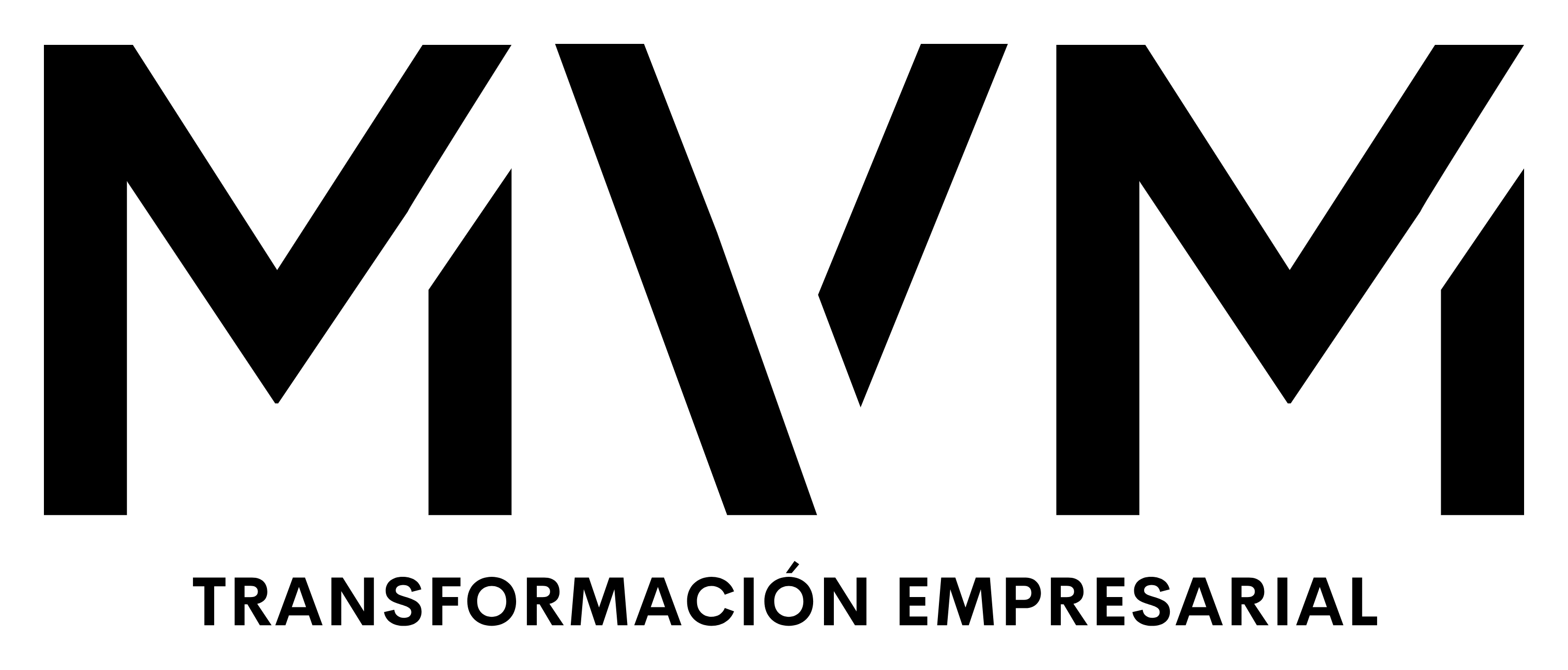 MVM Transformación Empresarial